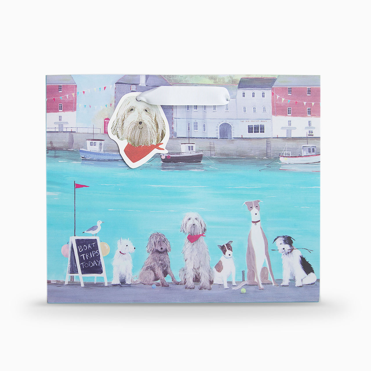 Gift Bag-HC01MB - Boat Trip Medium Gift Bag-Hannah Cole