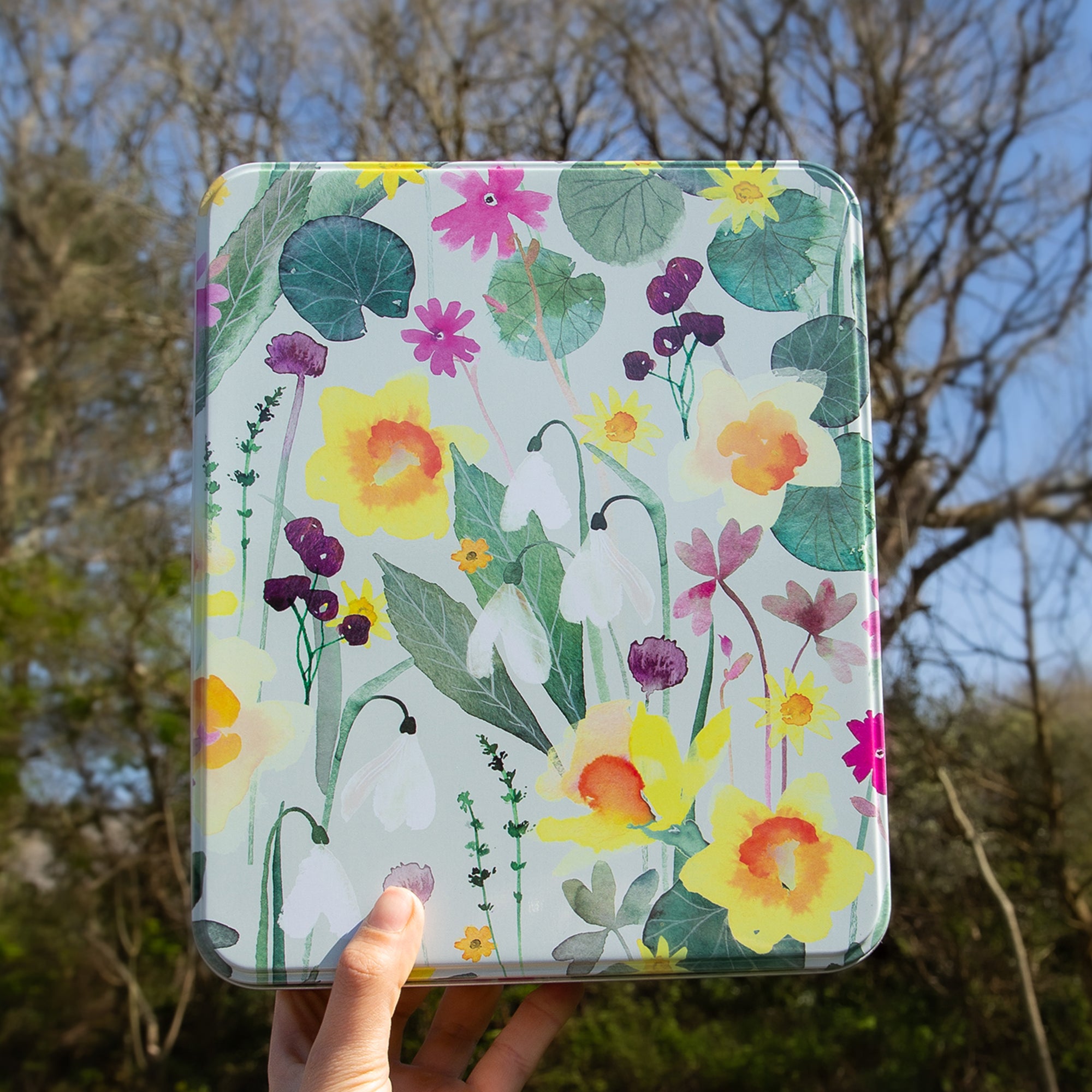 Gift Tin-GT25 - Awaking Woodland Gift Tin-Whistlefish