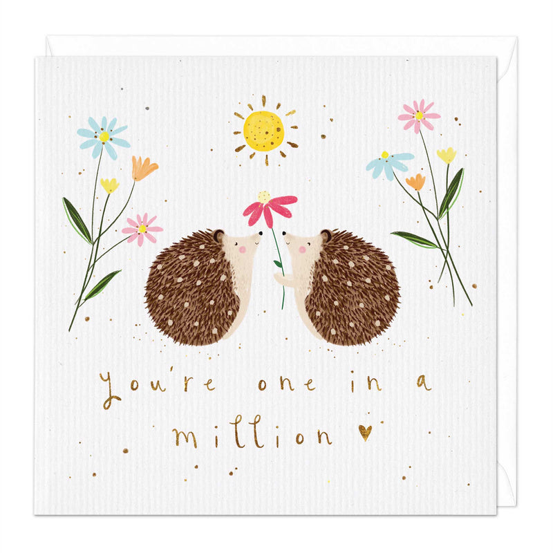 Greeting Card-E149 - One In A Million Hedgehog Card-Whistlefish