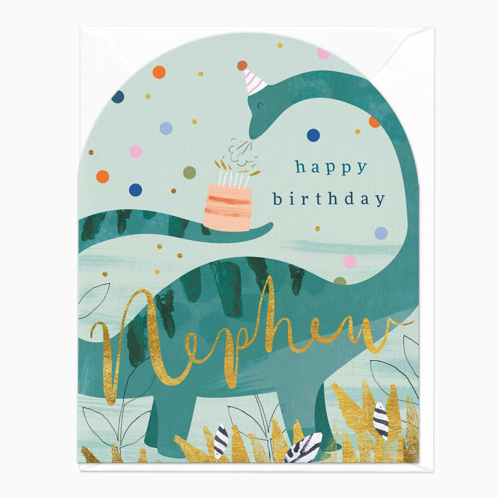 Greeting Card-E557 - Nephew Dinosaur Birthday Card-Whistlefish