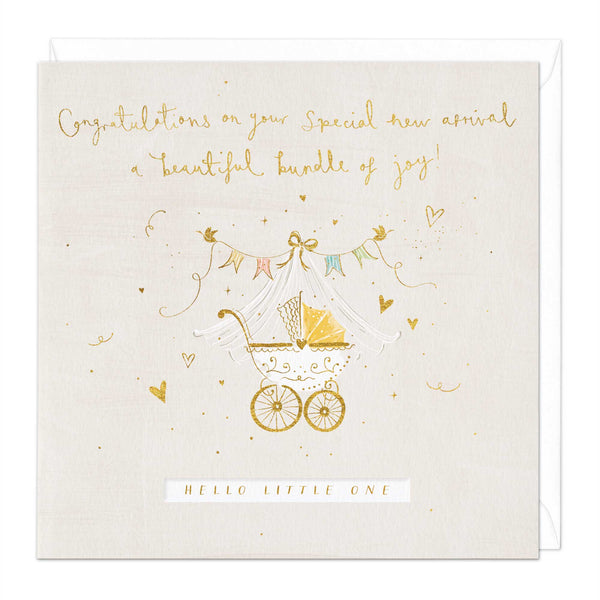 Greeting Card-E616 - Hello Little One Card-Whistlefish