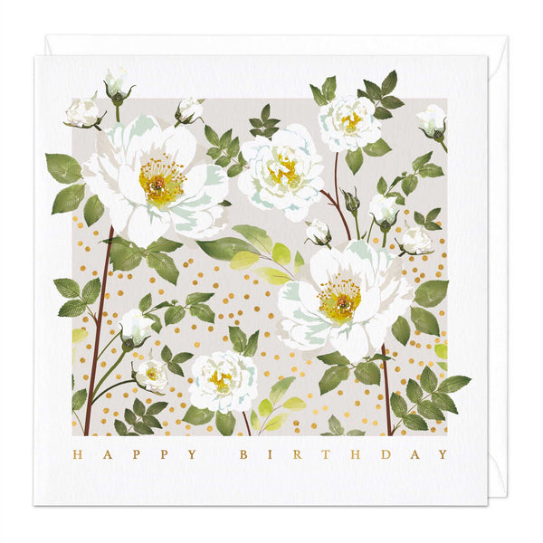 Greeting Card - E747 - White Rose Garden Birthday Card - White Rose Garden Birthday Card - Whistlefish