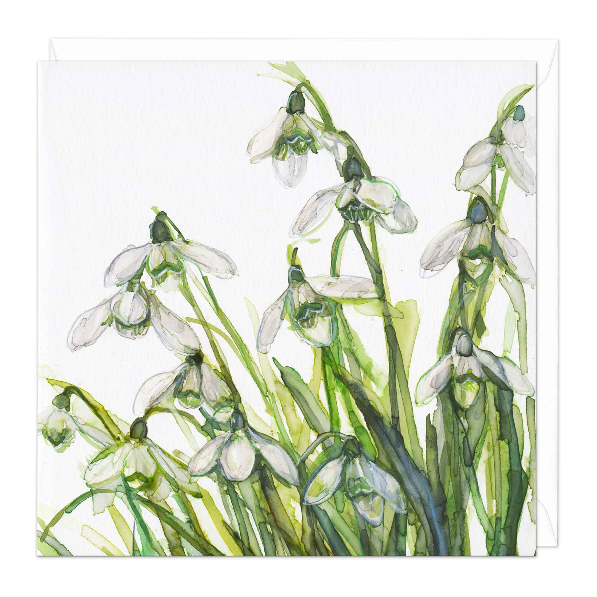 Greeting Card - E819 - Snowdrop Symphony Card - Snowdrop Symphony Card - Whistlefish
