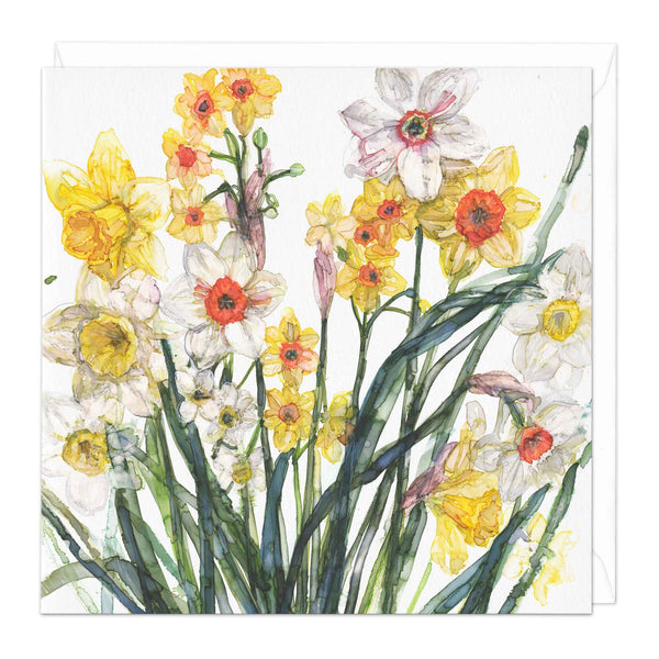 Greeting Card - E820 - Daffodil Delight Card - Daffodil Delight Card - Whistlefish
