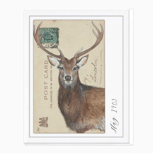 Greeting Card-F229 - Stag Vintage Art Card-Zenna Rogers Art