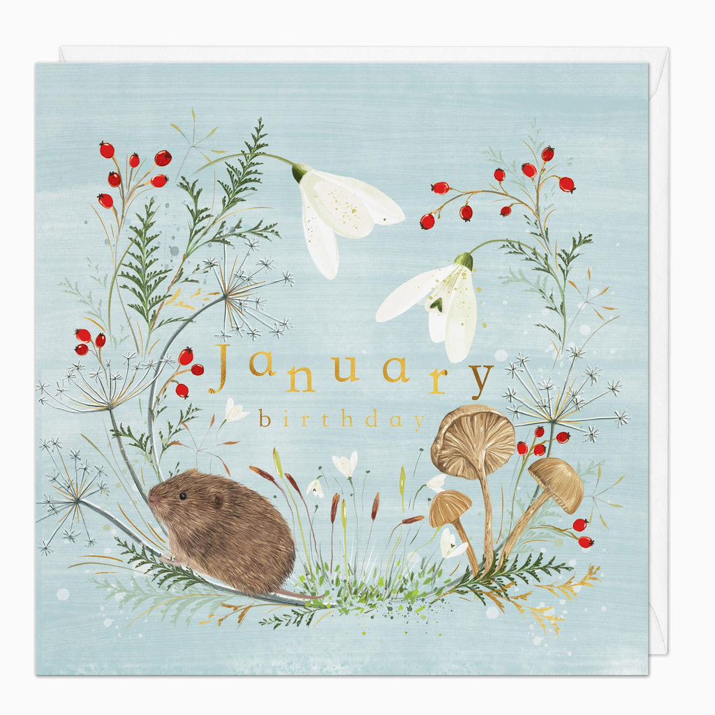 Greeting Card-G010 - Woodland Wildlife January Birthday Card-Whistlefish