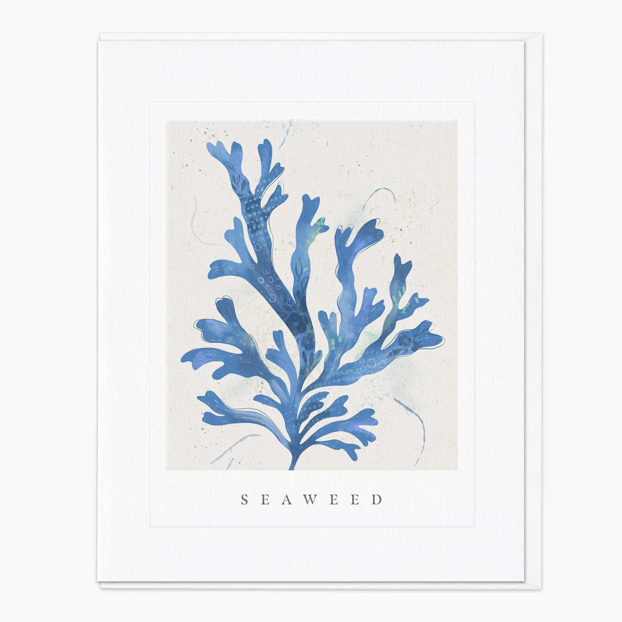 Greeting Card-G098 - Seagrass Seaweed Art Card-Whistlefish