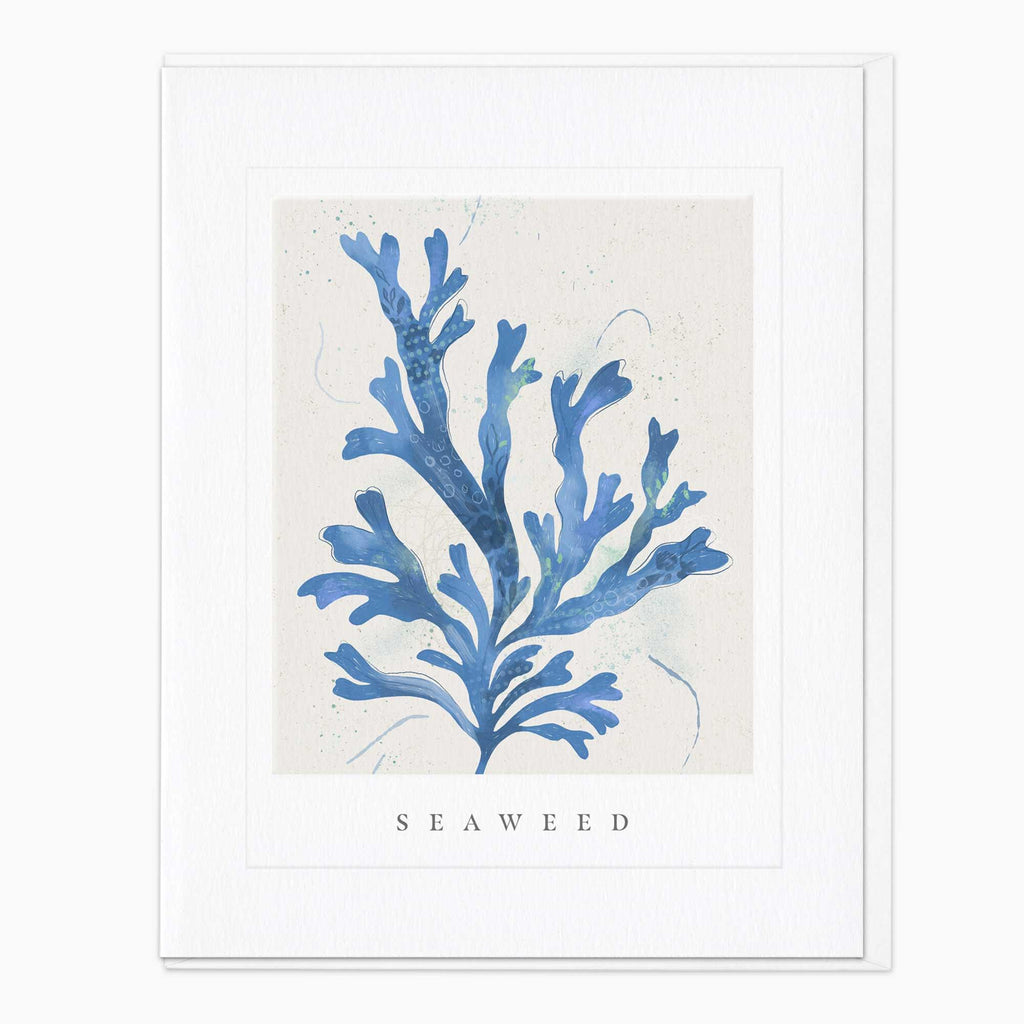 Greeting Card-G098 - Seagrass Seaweed Art Card-Whistlefish
