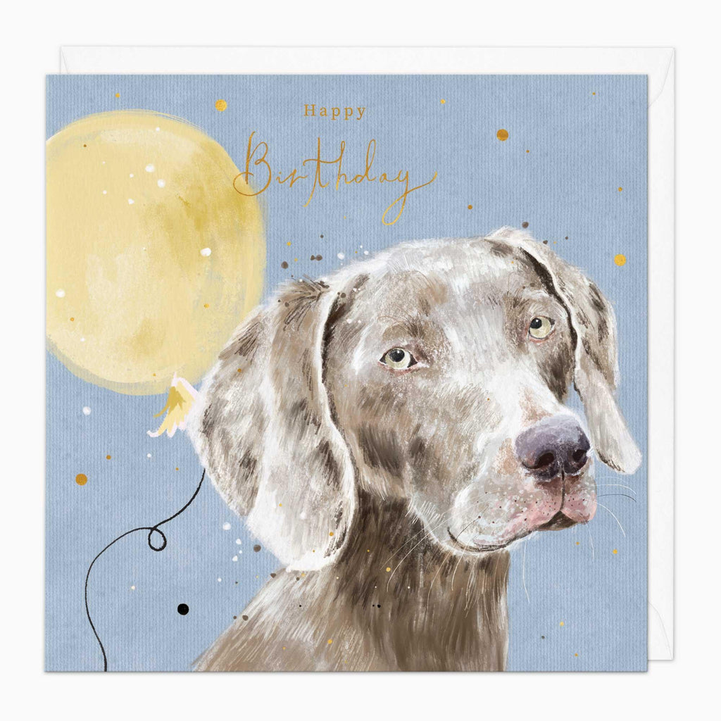 Greeting Card-G192 - Weirmeraner Birthday Card-Whistlefish