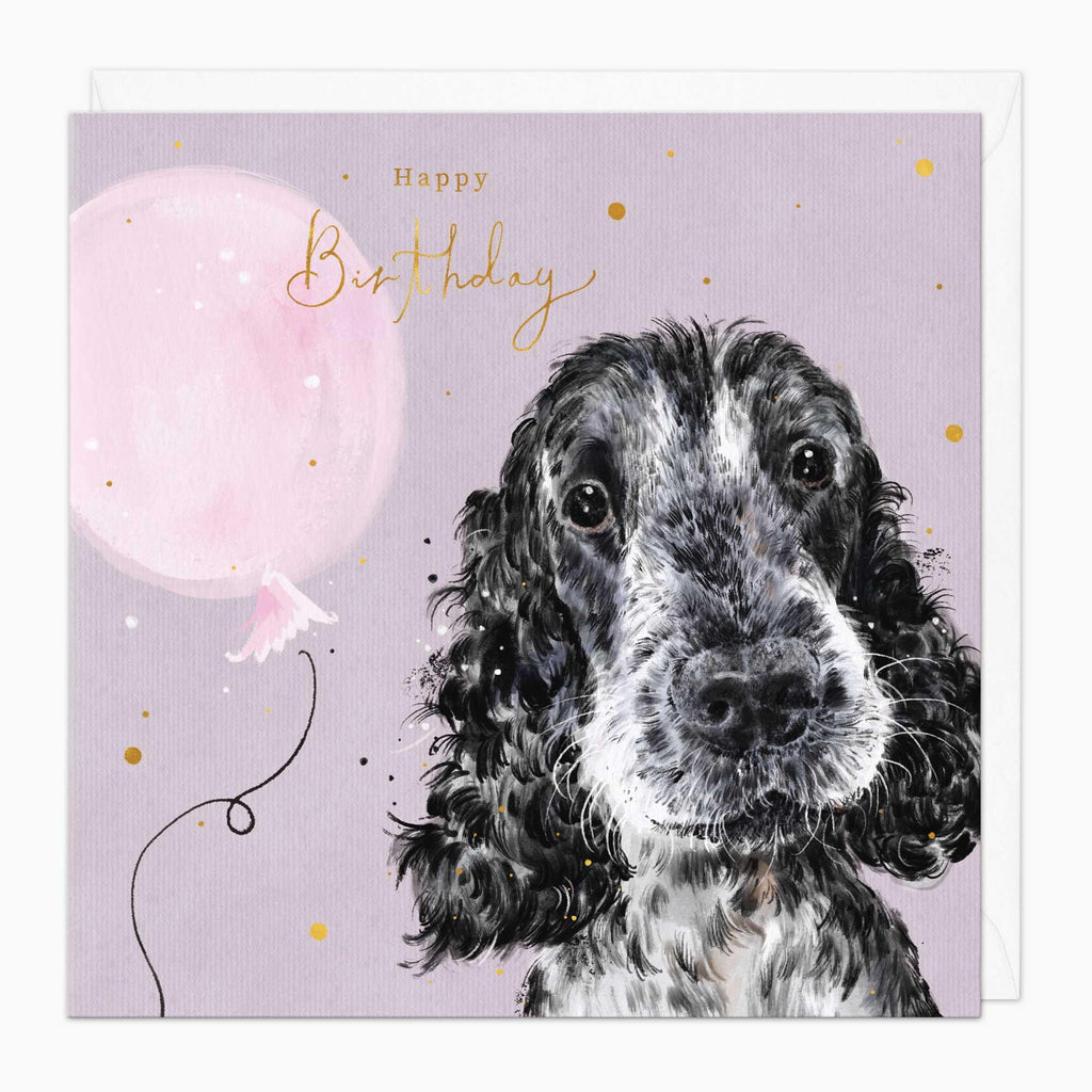 Greeting Card-G193 - Spaniel Birthday Card-Whistlefish