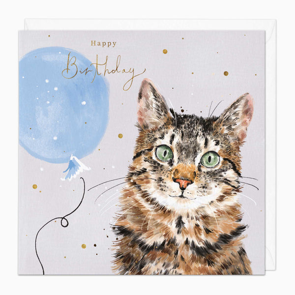 Greeting Card-G243 - Tabby Cat Birthday Card-Whistlefish