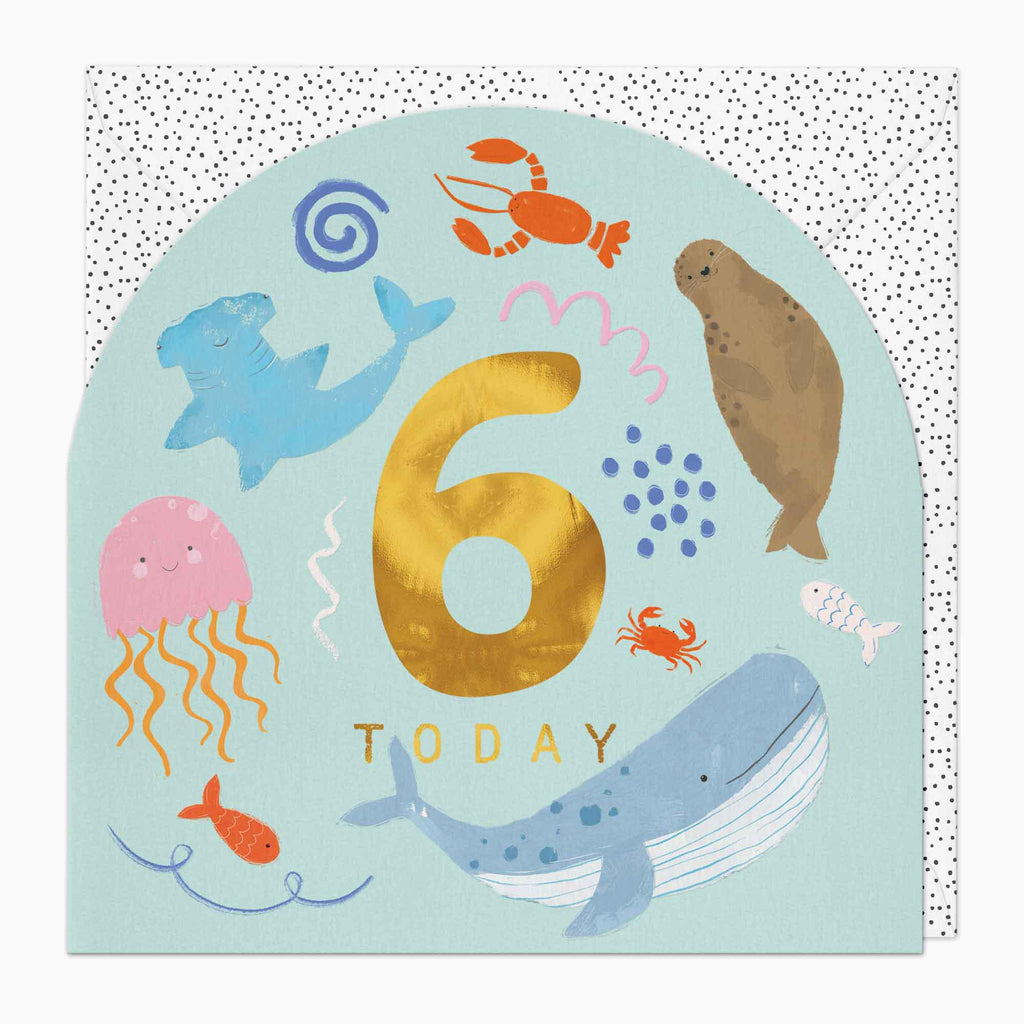 Greeting Card-G371 - Little Joy 6th Birthday Card-Whistlefish
