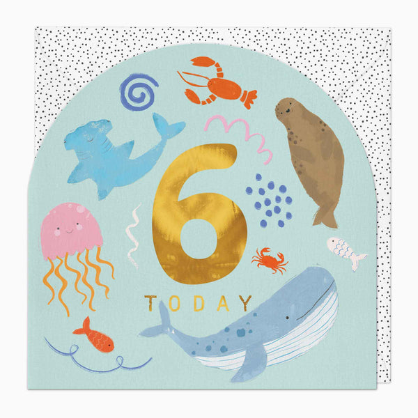 Greeting Card-G371 - Little Joy 6th Birthday Card-Whistlefish