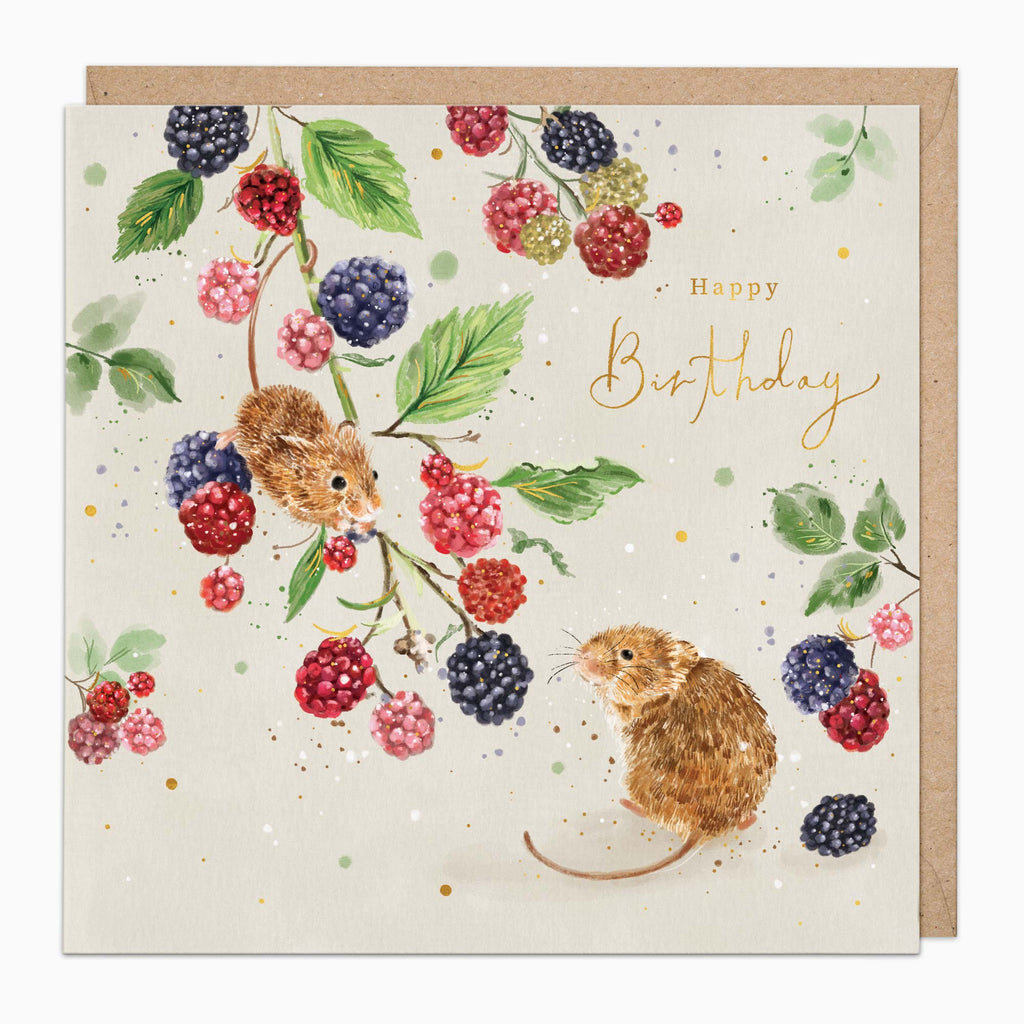 Greeting Card-G570 - Blackberry Mice Birthday Card-Whistlefish