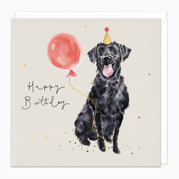 Greeting Card-H366 - Black Lab Birthday Card-Whistlefish