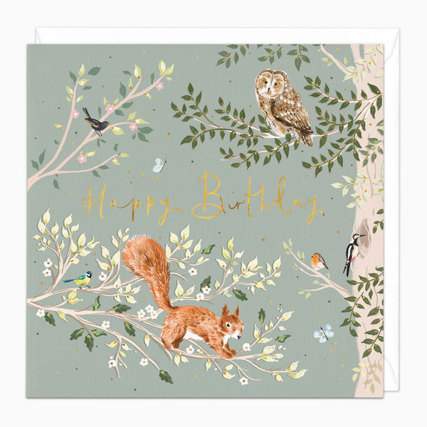 H369 - Woodland Wildlife Birthday Card