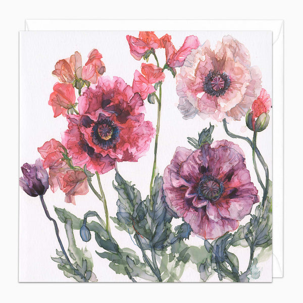 H462 - Poppies and Sweet Peas Art Card
