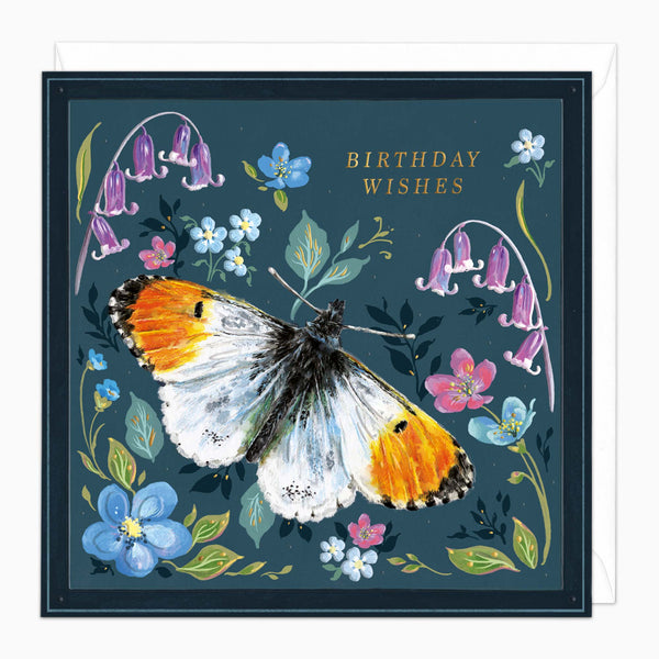 H525 - Orange Tip Butterfly Birthday Card