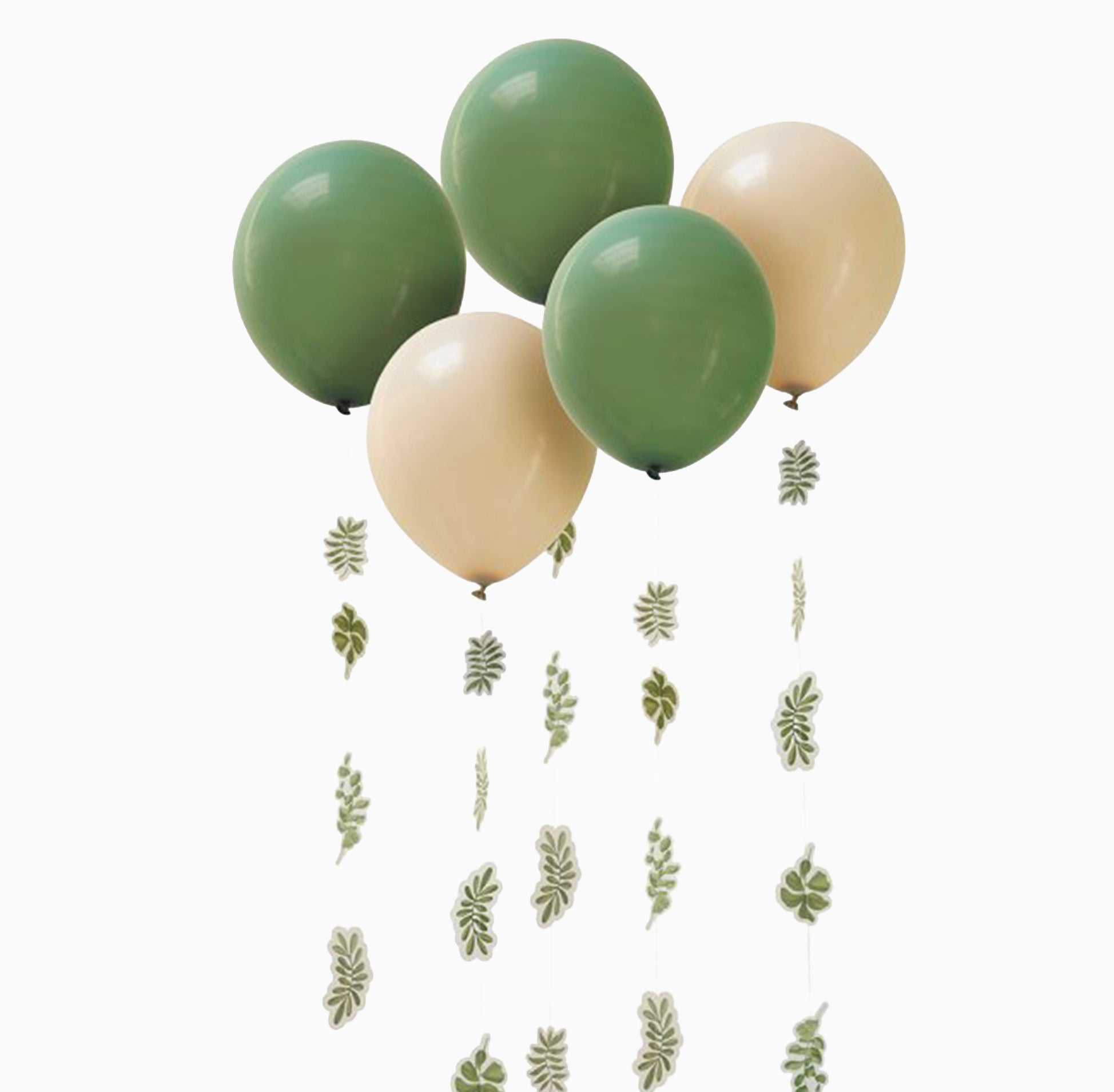 Balloons-HBBP109 - Botanical Pack of 5 12" Balloons-Hootyballoo