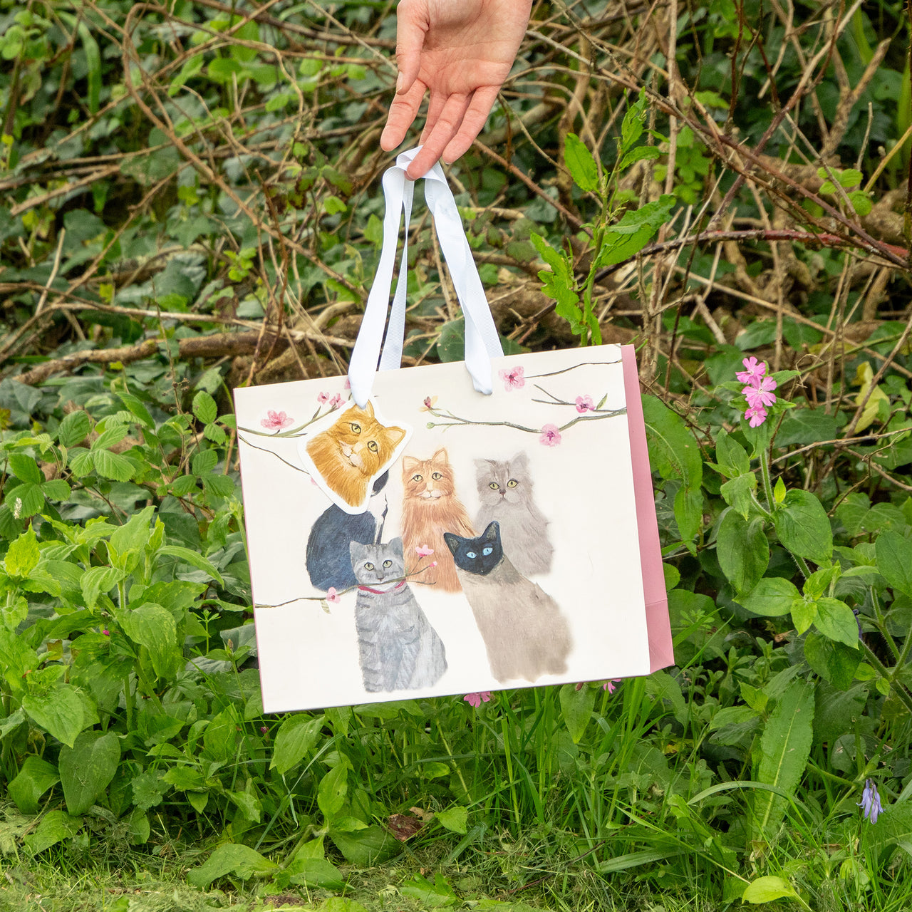 Gift Bag-HC03MB - Cats Medium Gift Bag-Hannah Cole
