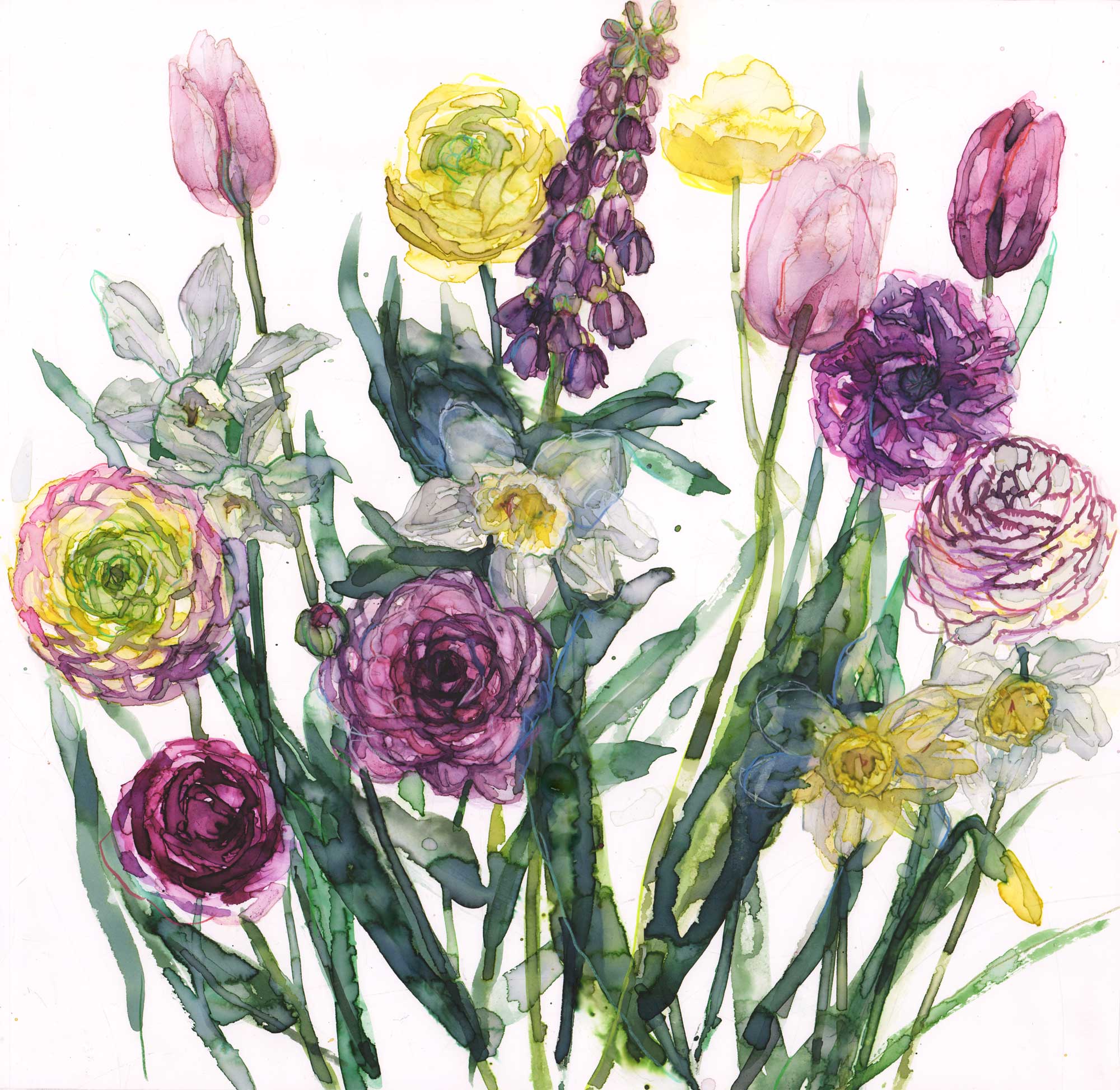 JT67P - Spring Flowers & Ranunculus Art Print