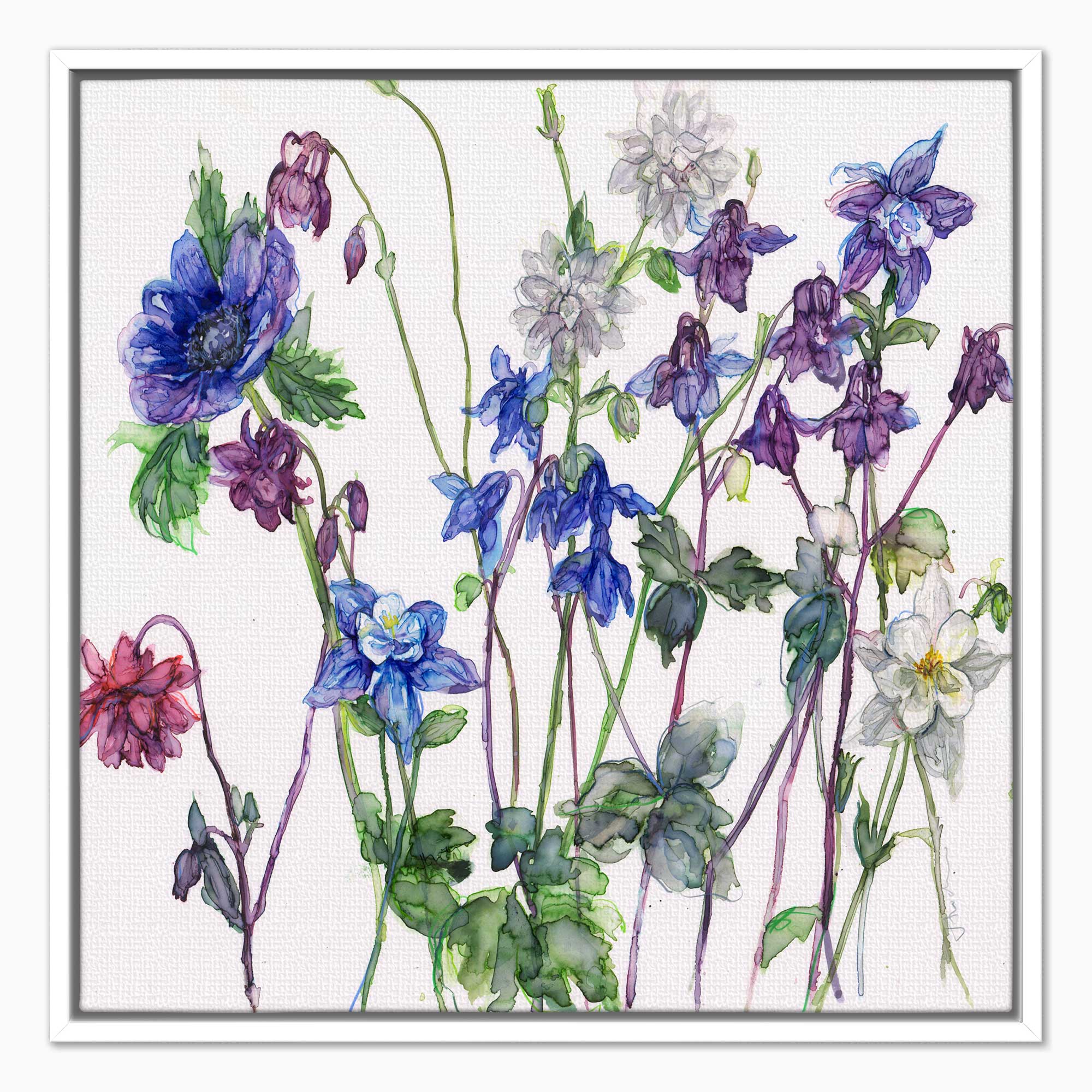 JTC22F - Aqueilegias and Anenome Framed Canvas