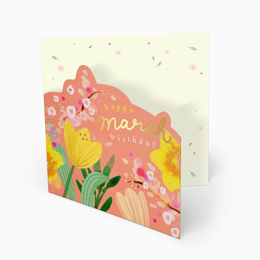 Luxury Card-LN147 - Bright Summer March Birthday Card-Whistlefish