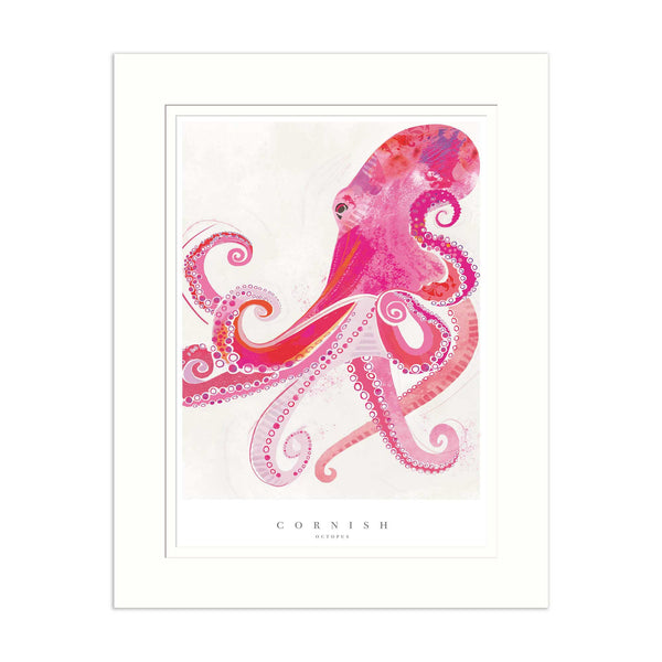 Mounted Print - WF719M - Cornish Octopus Medium Mounted Print - Cornish Octopus Medium Mounted Print- Whistlefish