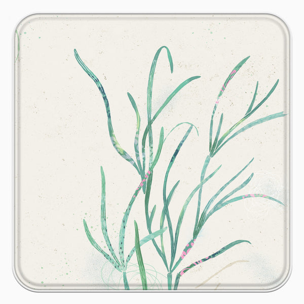 Notelet Tin-MWT62 - Seagrass Notelet Tin-Whistlefish