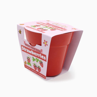 Grow Your Own Kit-OBstrawberries - Strawberries Growing Kit-Gardening for Kids
