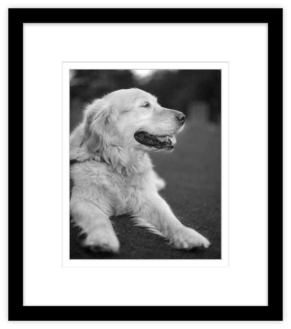 Picture Frame-AF08F - 20 x16 inch Black Art Print Frame-Whistlefish