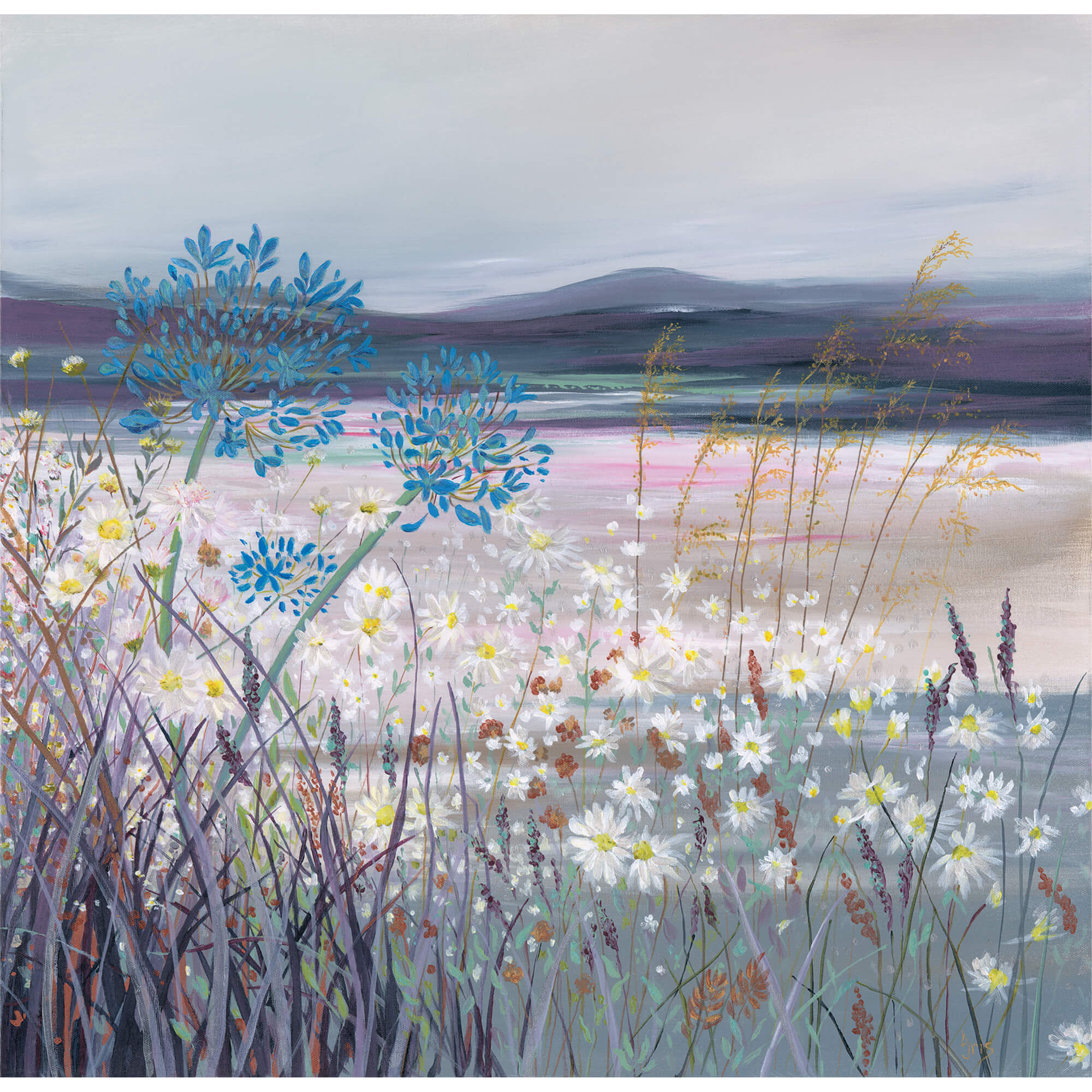 Print-IC174P - Daisy Hills Art Print-Whistlefish