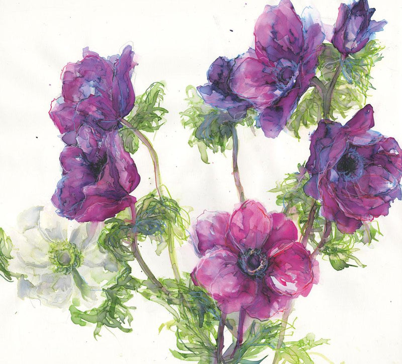 Print-JT25P - Anemones Floral Art Print-Whistlefish