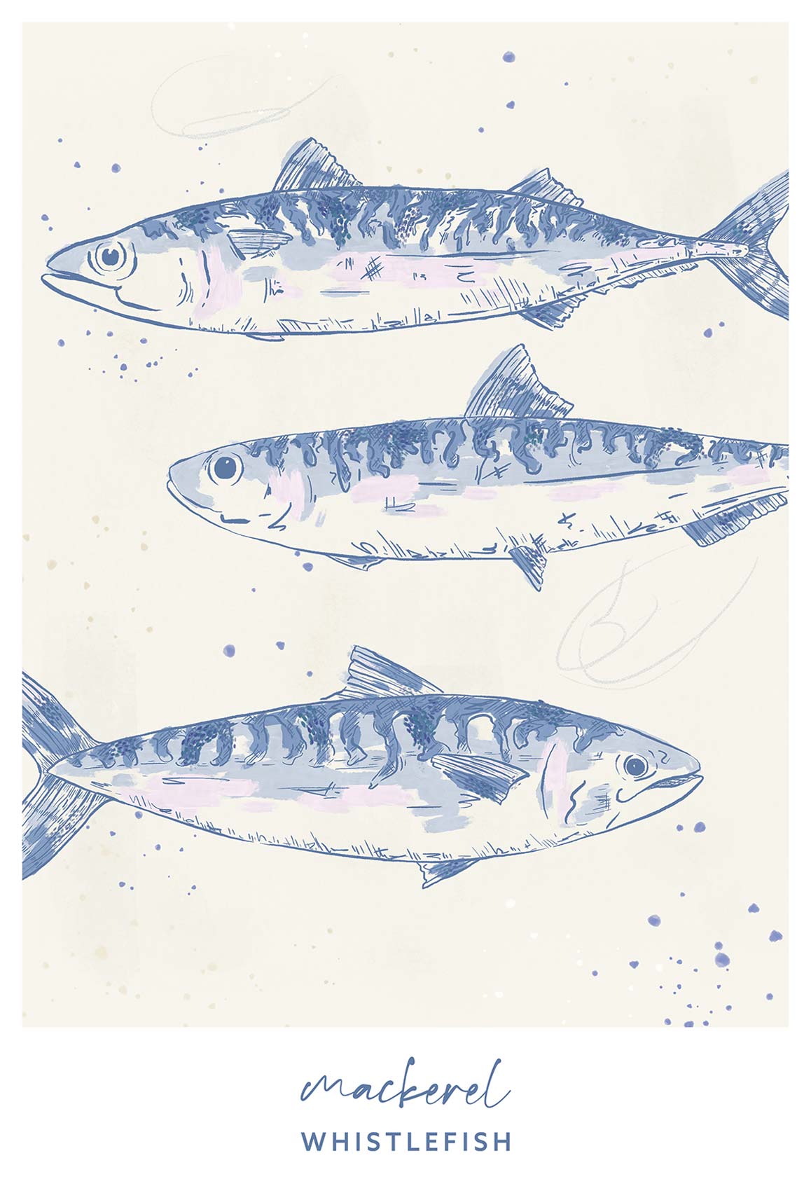 Print-WF041290P - Mackerel Large Art Print-Whistlefish