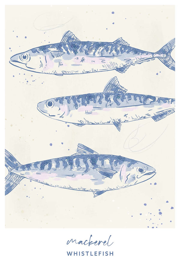 Print-WF041290P - Mackerel Large Art Print-Whistlefish