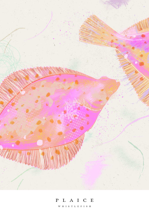Print-WF1035P - Seagrass Plaice Small Art Print-Whistlefish
