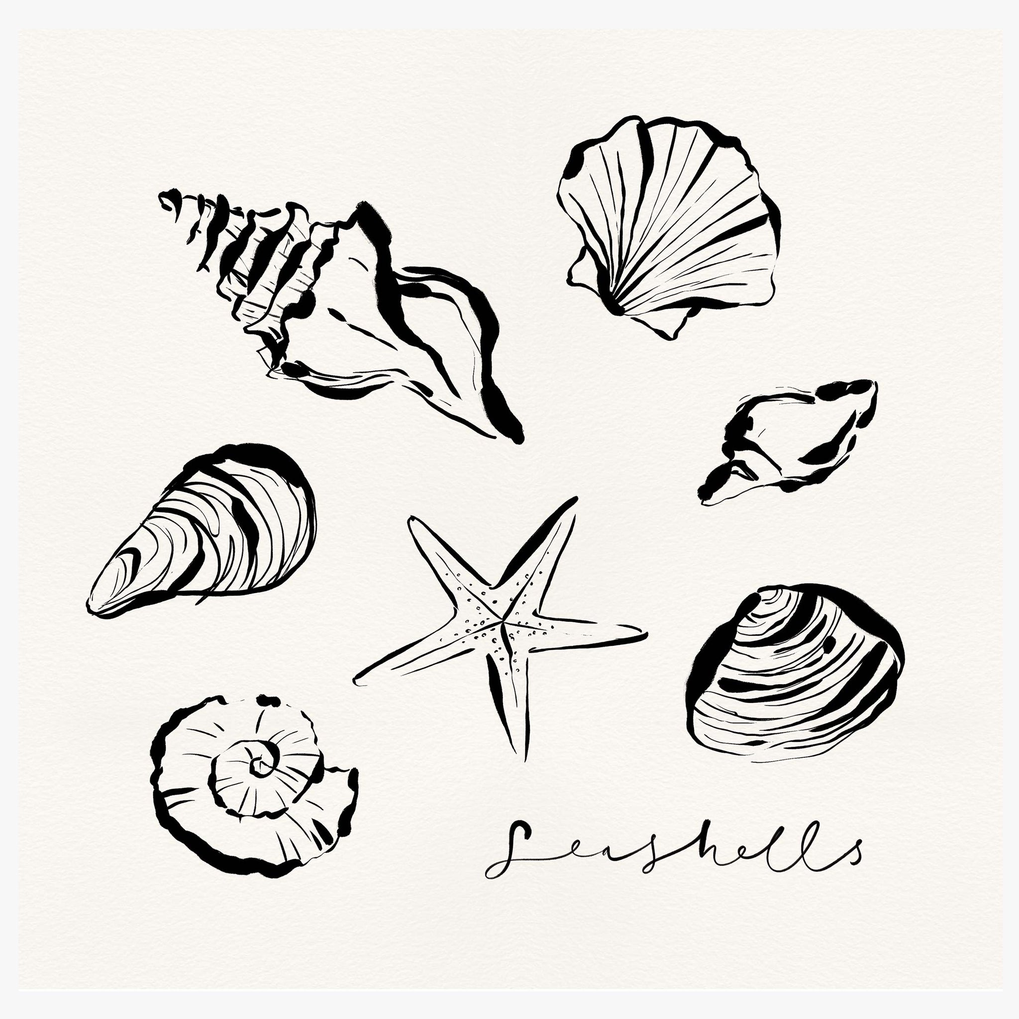 Print-WF1100P - Shells Art Print-Whistlefish