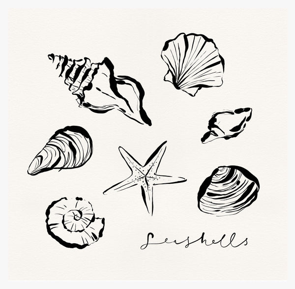 Print-WF1100P - Shells Art Print-Whistlefish