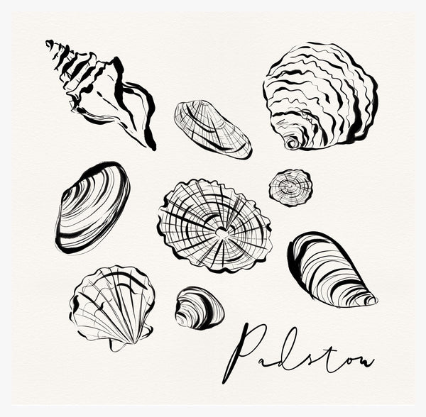Print-WF1104P - Padstow Shells Art Print-Whistlefish