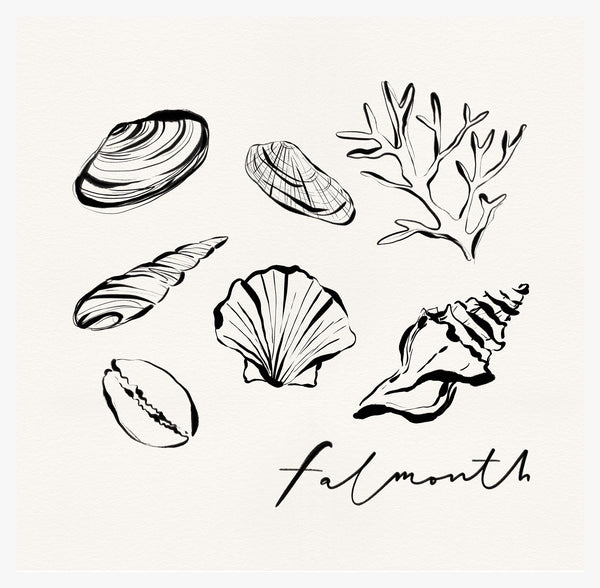 Print-WF1105P - Falmouth Shells Art Print-Whistlefish