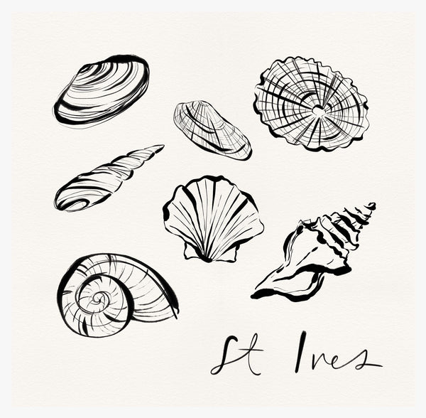 Print-WF1106P - St Ives Shells Art Print-Whistlefish