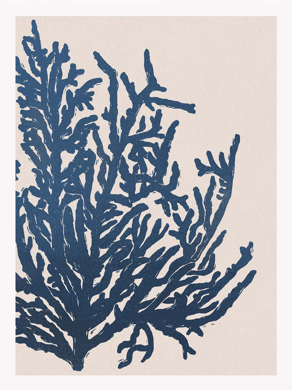 Print-WF1197P - Seaweed Art Print-Whistlefish