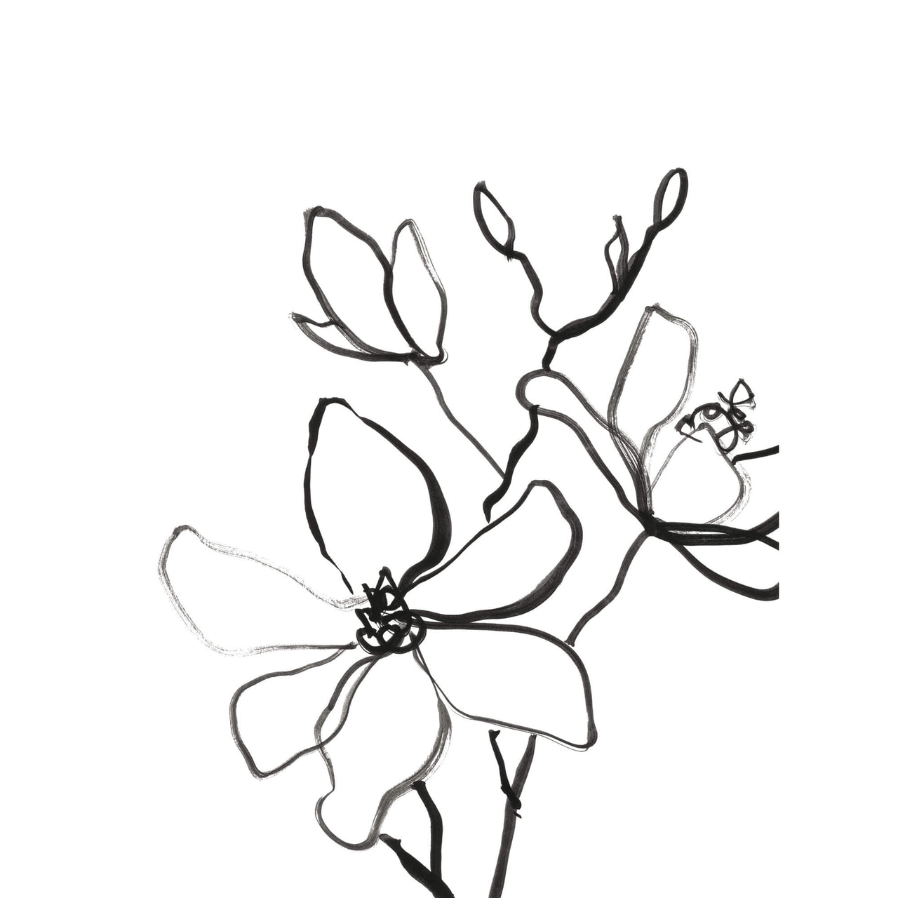 Print-WF576P - Magnolia Art Print-Whistlefish