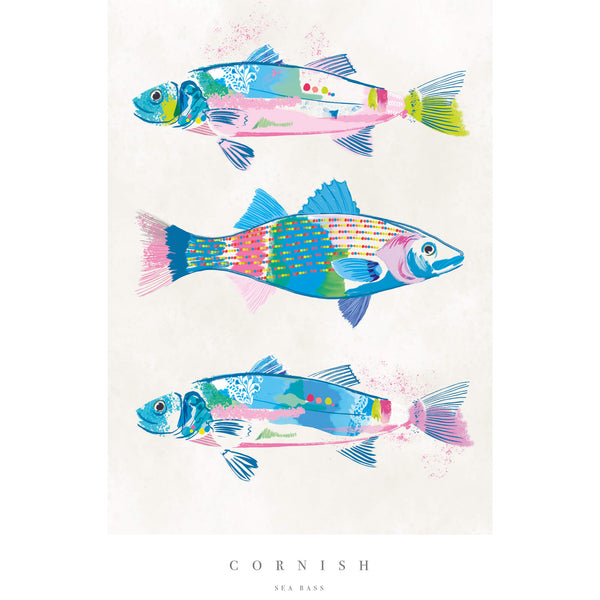Print-WF718P - Cornish Sea Bass Medium Art Print-Whistlefish