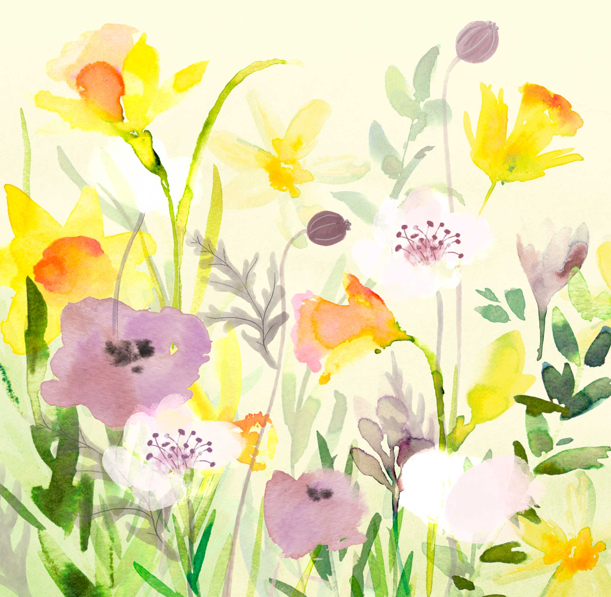 Print - WF930P - Purple Crocus Med Print - Purple Crocus - Art Print - Whistlefish