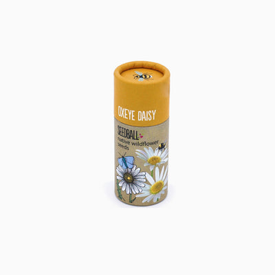 Wildflower Seedball Tube Oxeye Daisy - Whistlefish