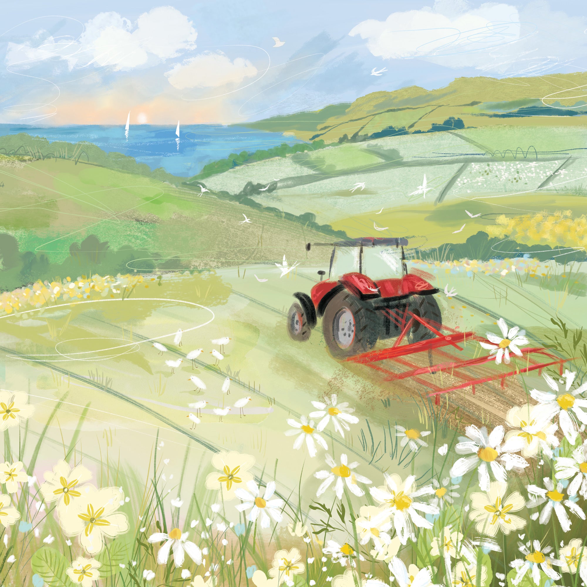 View from the Tractor framed print featuring a red tractor in a green field with white daisies and a coastal sunset view.
