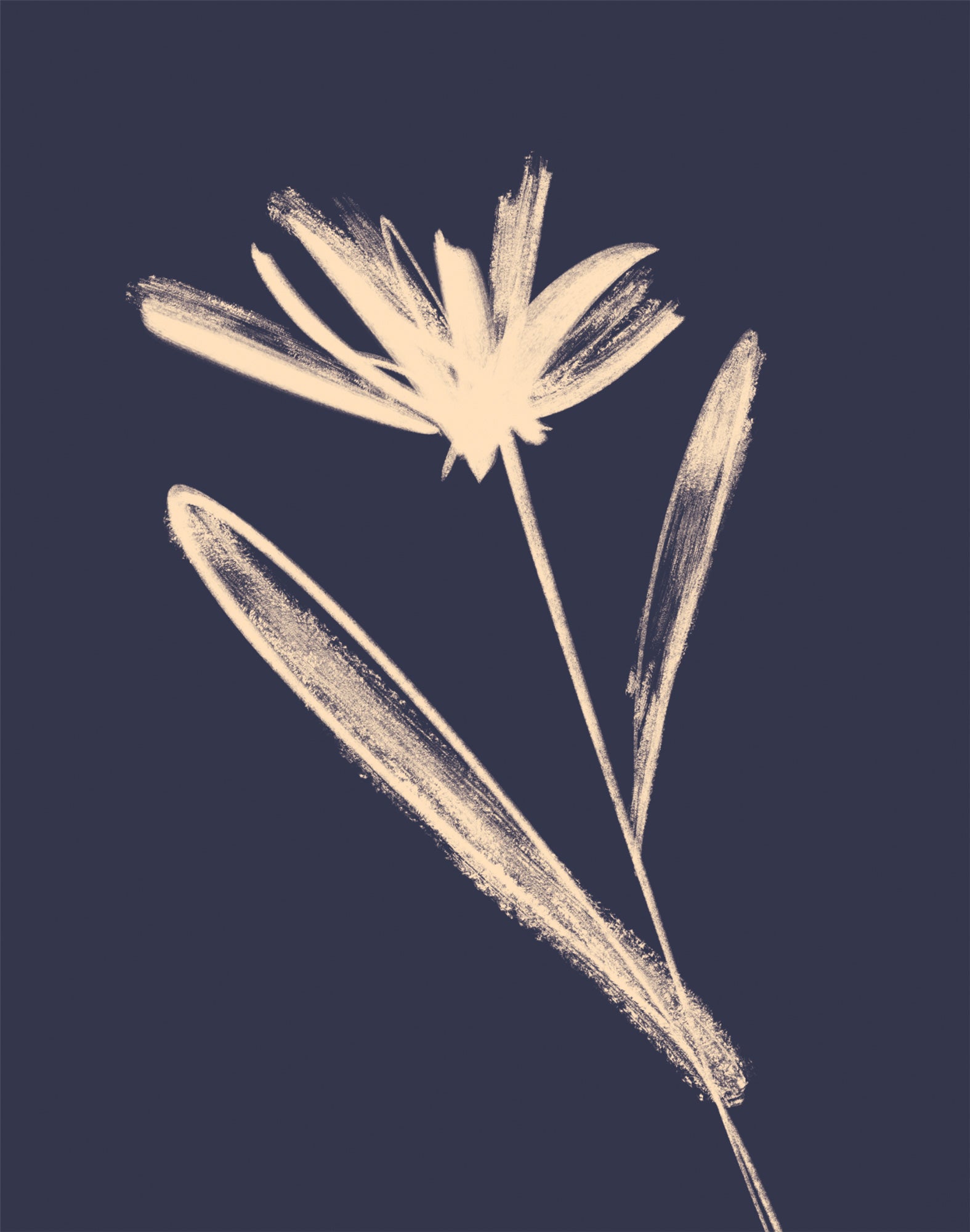 WF1397P - Midnight Blooms I Art Print