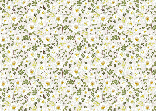 Wrapping Paper - GWP12 - Rambling Rose Wrapping Paper - Beige Rambling Rose Wrapping Paper - Whistlefish