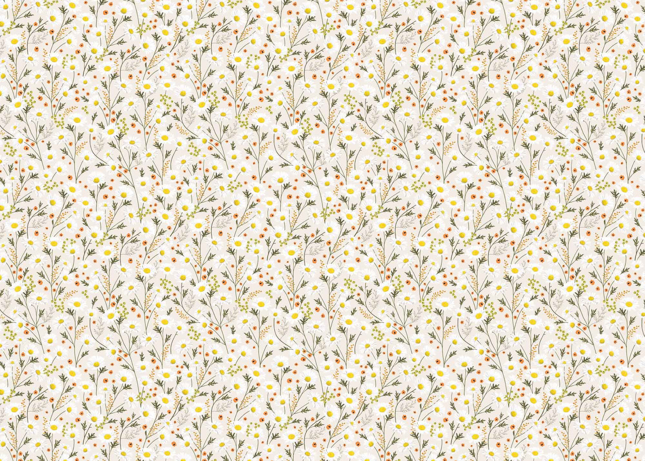 Wrapping Paper - GWP17 - Delicate Daisy Wrapping Paper - Delicate Daisy Wrapping Paper - Whistlefish